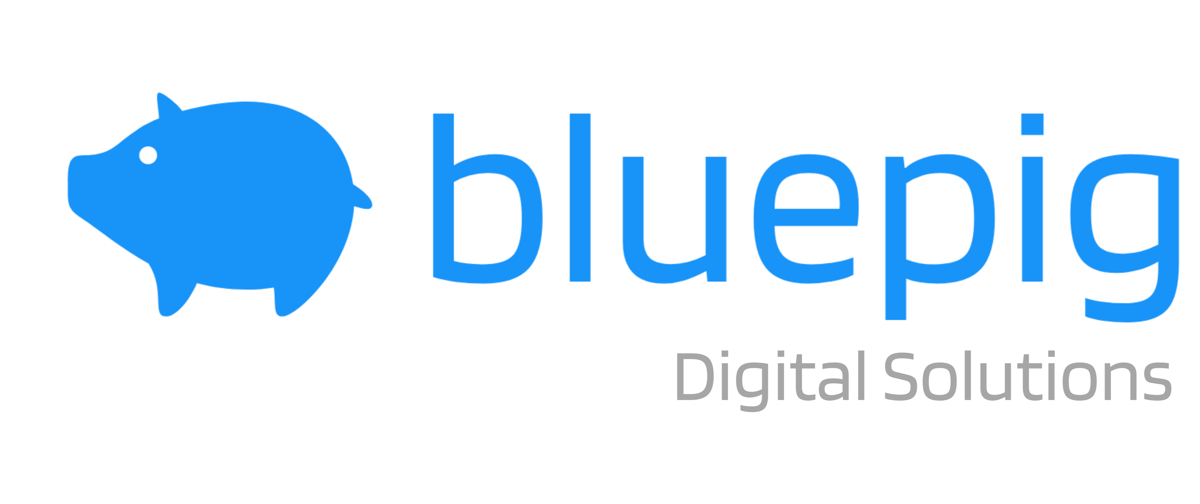 FindMyCRM - CRM Parter: Bluepig Digital Solutions